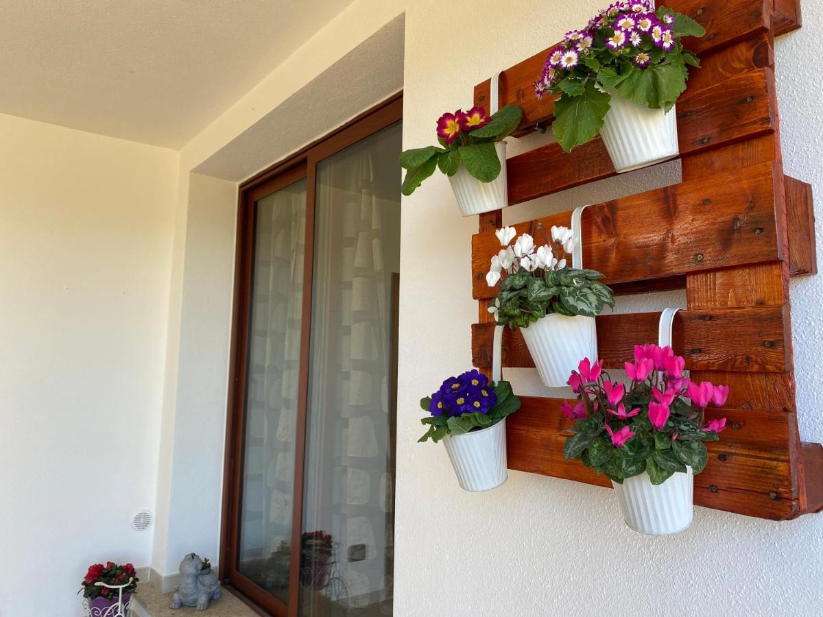 Casa Mirto Βίλα Όλμπια Εξωτερικό φωτογραφία