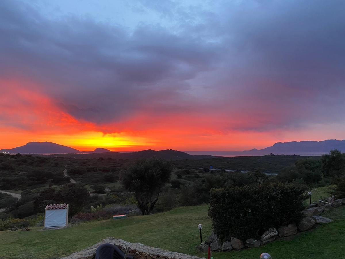 Casa Mirto Βίλα Όλμπια Εξωτερικό φωτογραφία